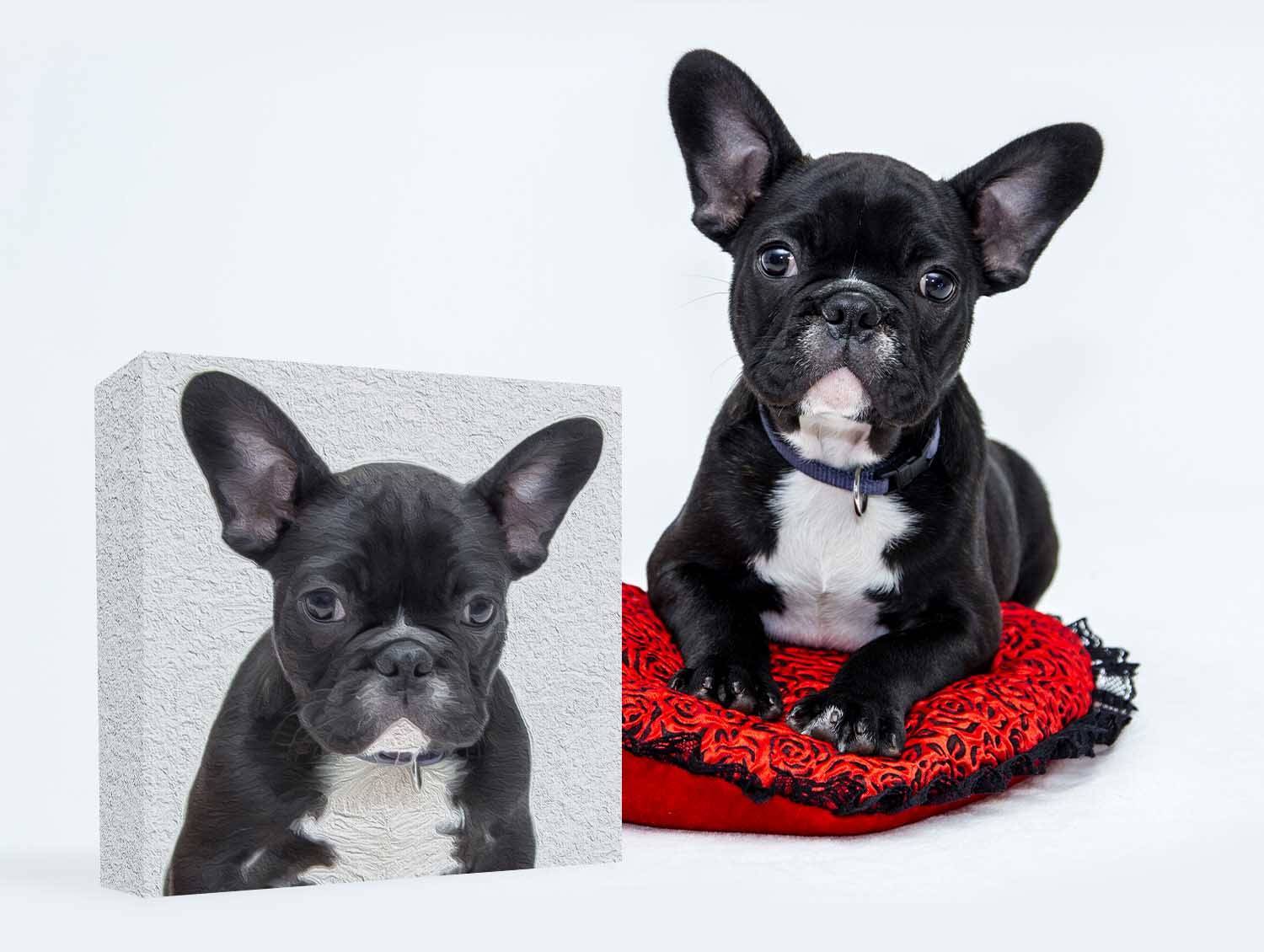 Pet Portraits Canvas Prints Canada Pet Portraits on Canvas — custom dog and cat art